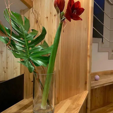 Baron - Museum 3* Yaremche